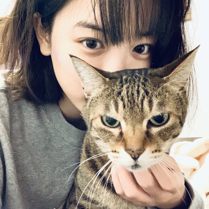 永野芽郁かわいい画像