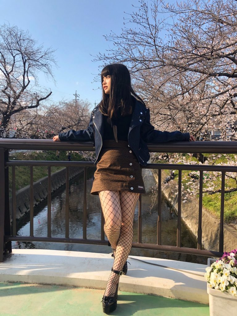 まめだいふく モデル