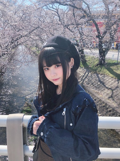 まめだいふく モデル