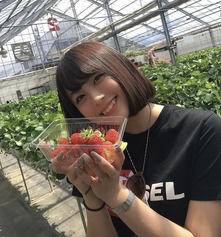 まえだまはる 画像