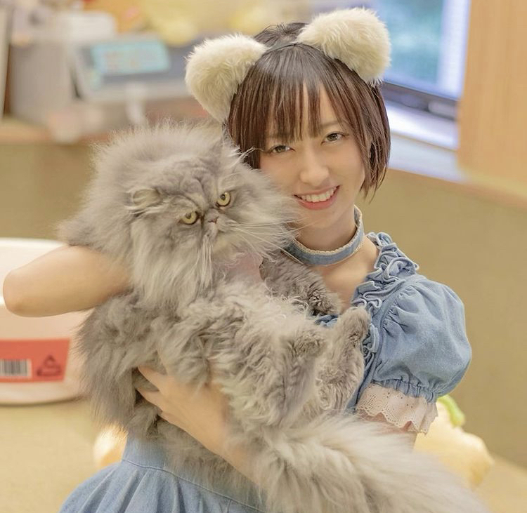 木乃伊みさと 画像