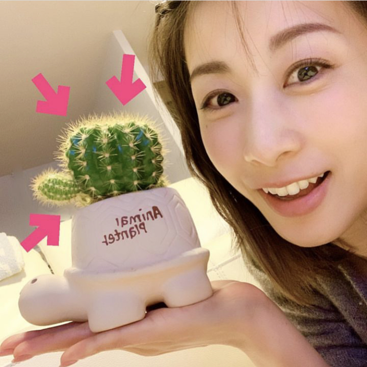加藤綾子 かわいい