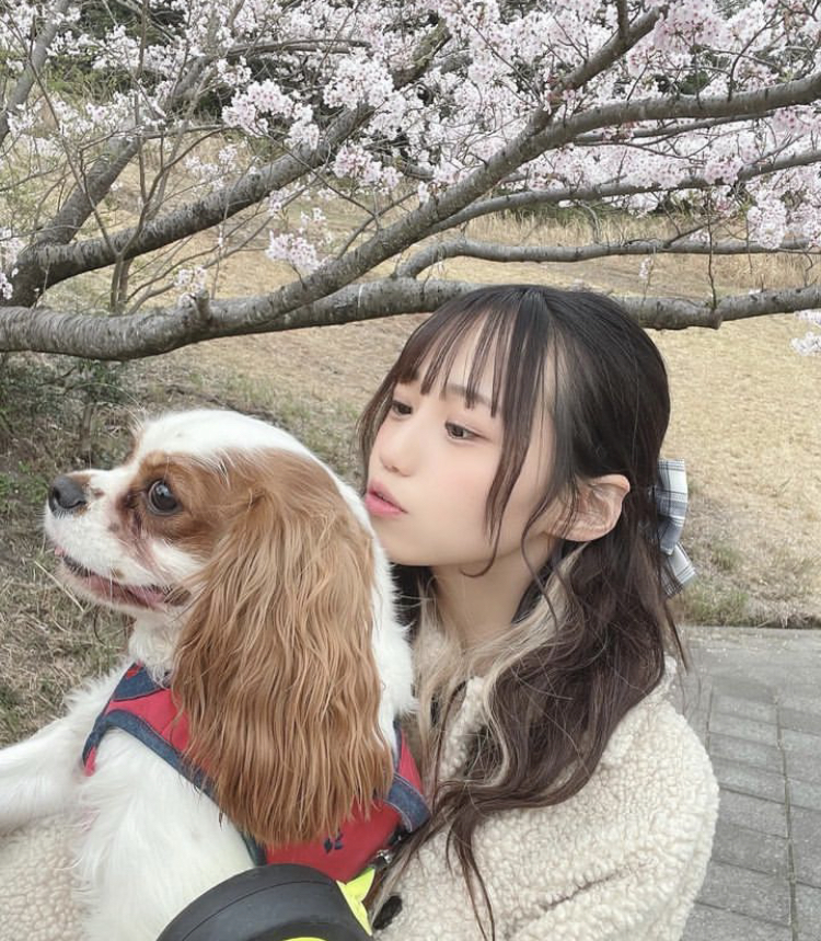 弓川いち華 かわいい