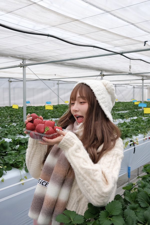 リンシャン かわいい