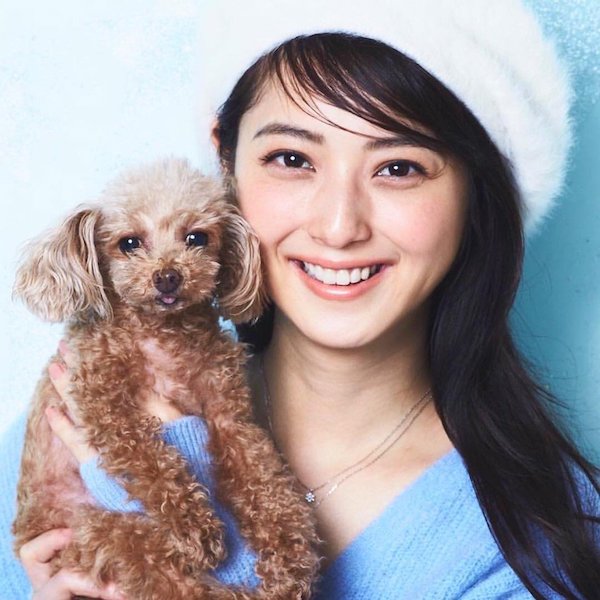 佐々木希 かわいい