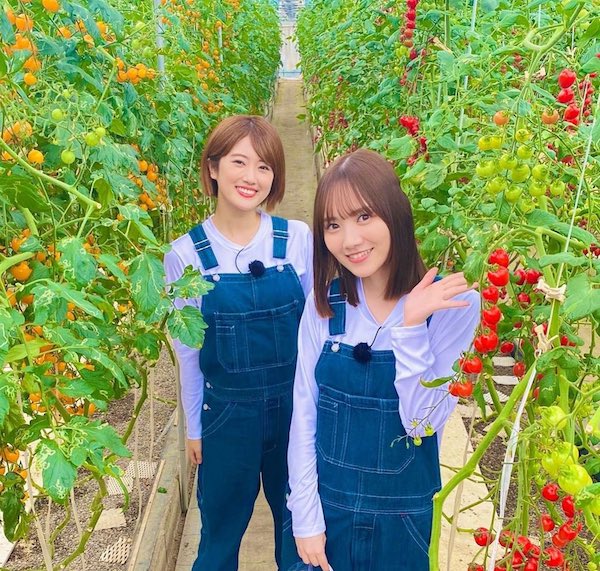 田村真佑 かわいい