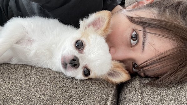 広瀬アリス かわいい