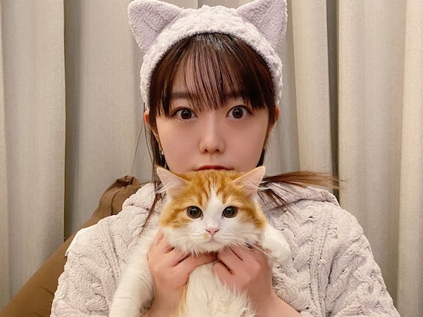 峯岸みなみ かわいい