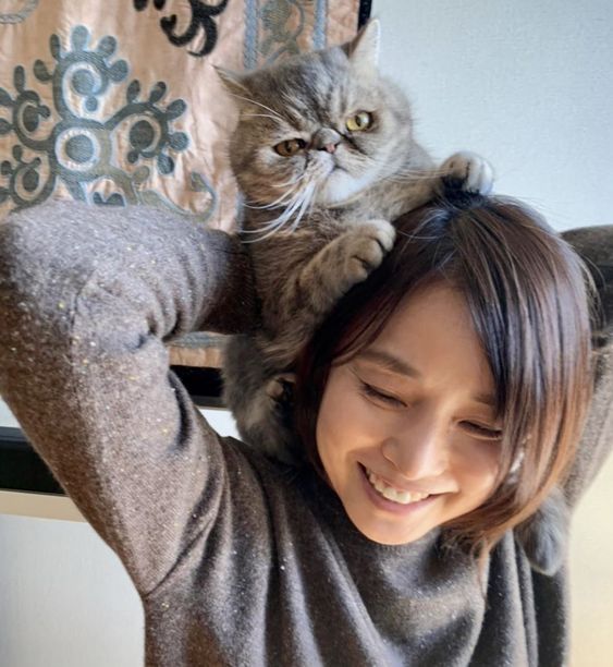 石田ゆり子 かわいい